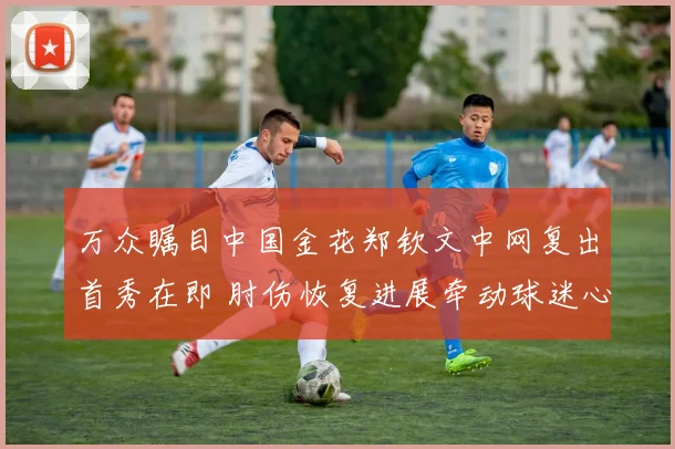 万众瞩目中国金花郑钦文中网复出首秀在即 肘伤恢复进展牵动球迷心