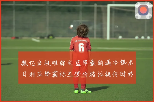 数亿分歧难弥合蓝军豪购遇冷锋尼日利亚锋霸标王梦价格拉锯何时终