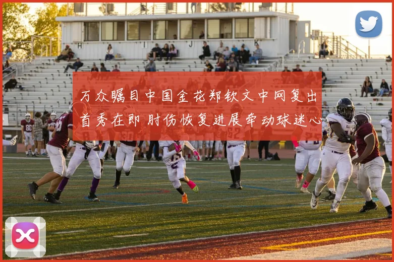 万众瞩目中国金花郑钦文中网复出首秀在即 肘伤恢复进展牵动球迷心