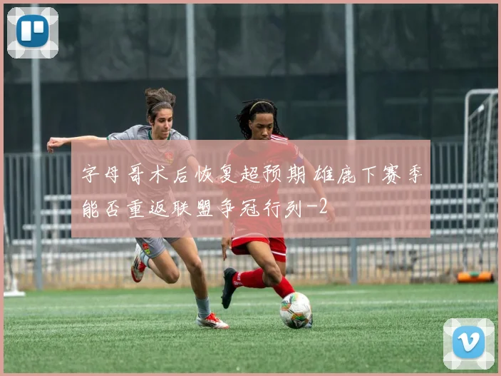 字母哥术后恢复超预期 雄鹿下赛季能否重返联盟争冠行列