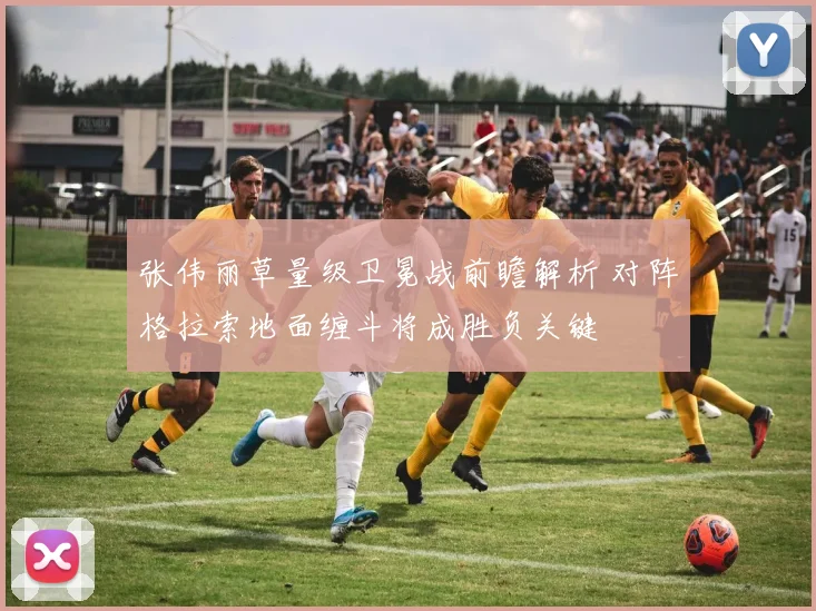 张伟丽草量级卫冕战前瞻解析 对阵格拉索地面缠斗将成胜负关键