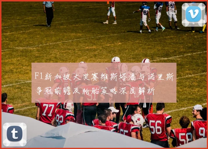 F1新加坡大奖赛维斯塔潘与诺里斯争冠前瞻及轮胎策略深度解析